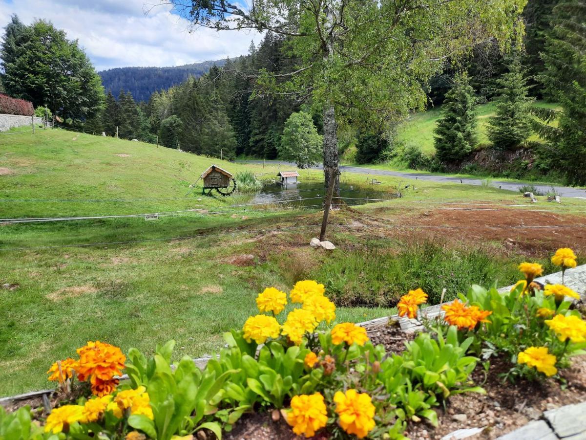 Elisa Chalet *