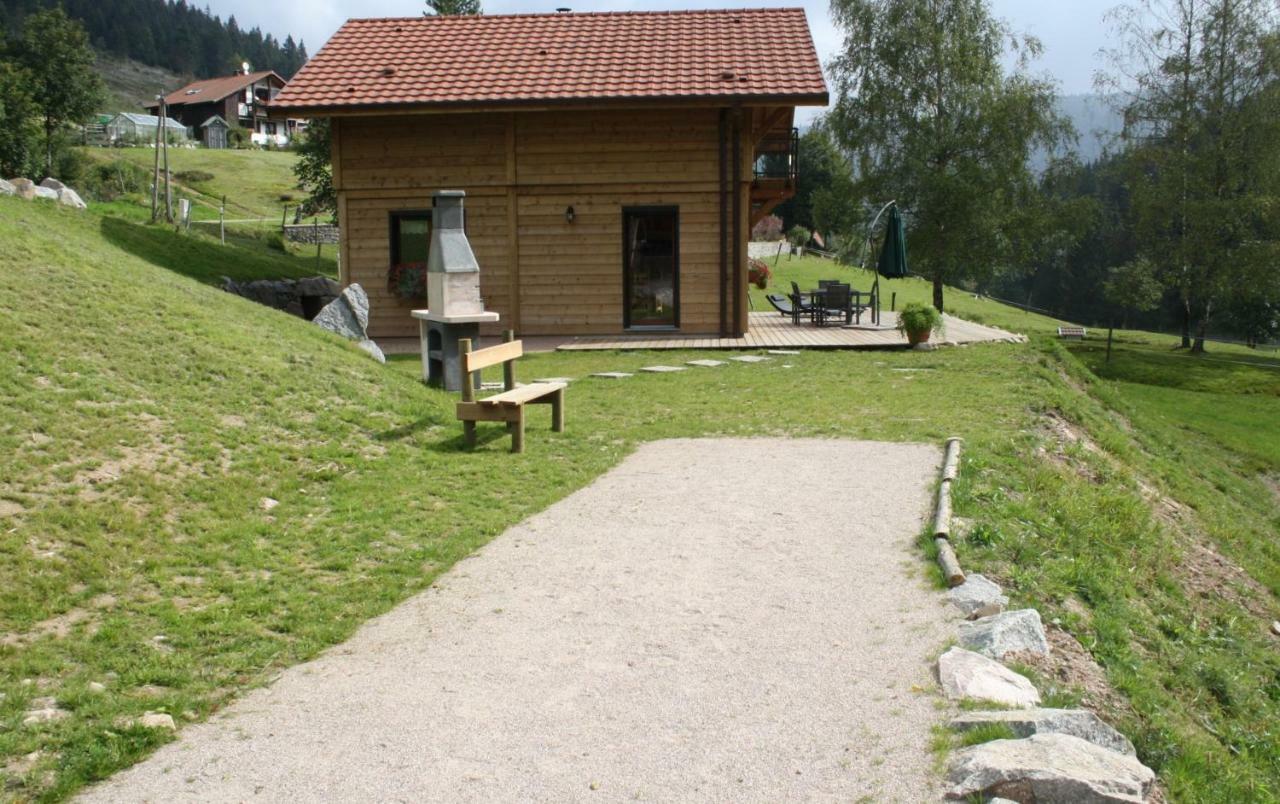 Elisa